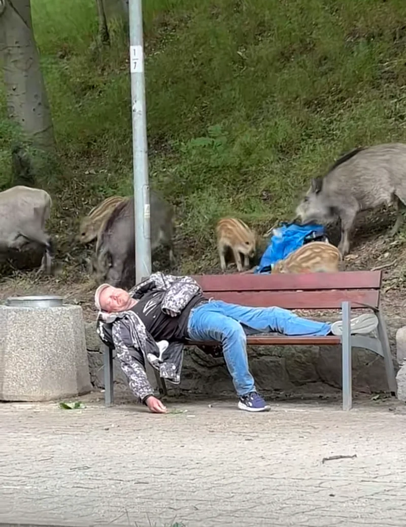 bc8575d5-f8ae-4c38-9277-0899f5ca3a28