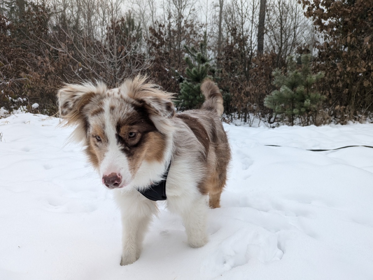 bdb4d988-7dae-45d5-82ee-0673bcc40239