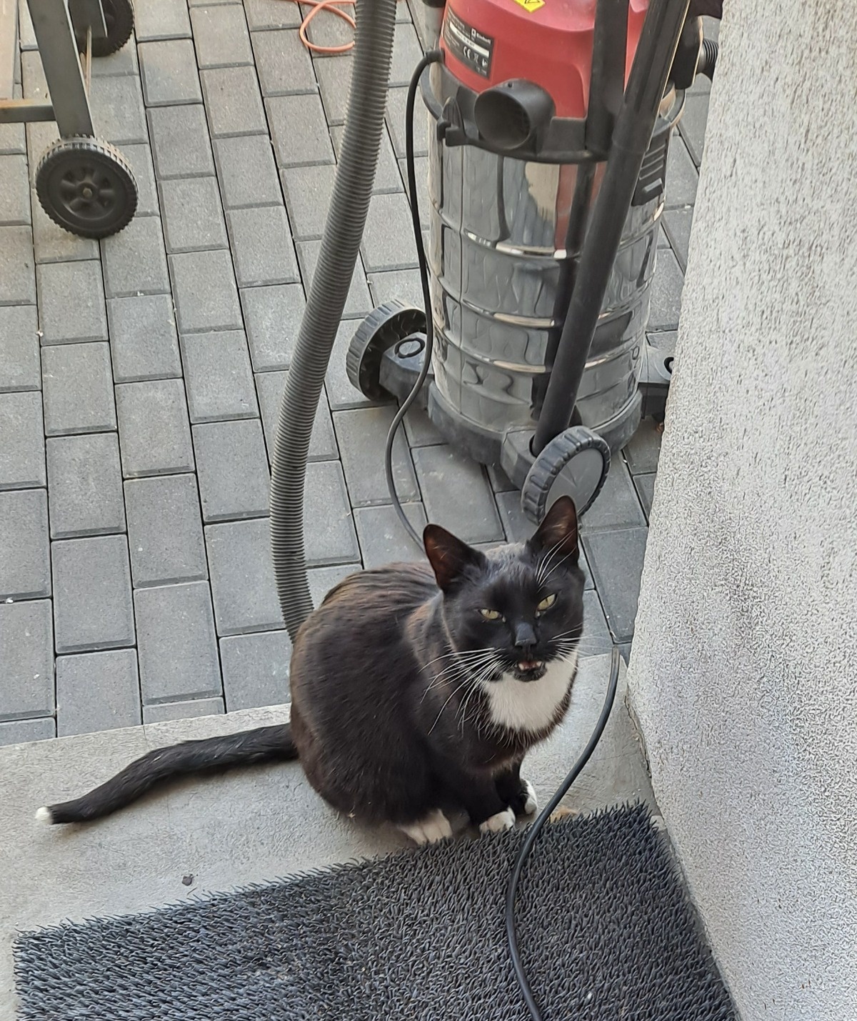 c618873f-dc5b-40e6-bc39-60b649d8ce03