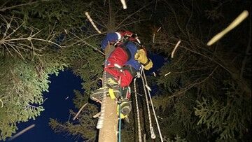 Paralotniarz utknął na drzewie. "Wzmożony ruch w przestrzeni powietrznej"