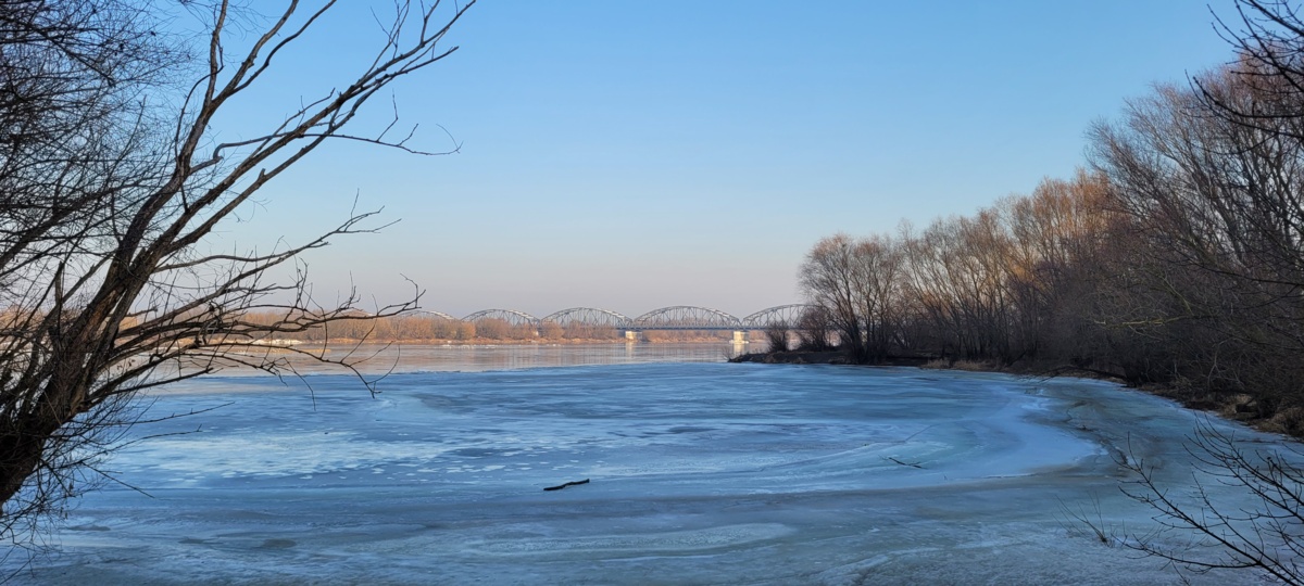 2ced9298-2d9e-482e-8b60-c7340c589d03