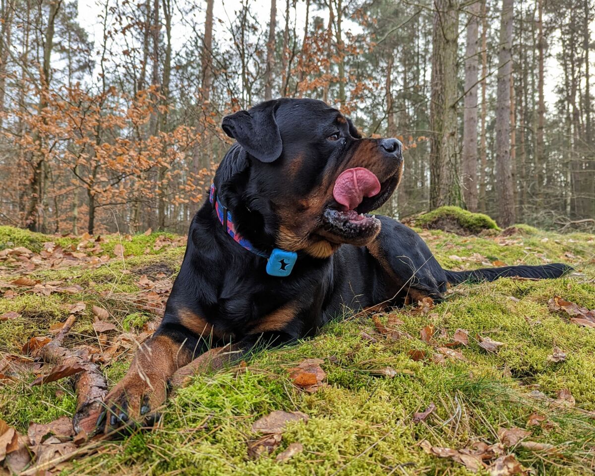 e0e0d69a-88cb-4dea-b2b5-066d6a6112c8