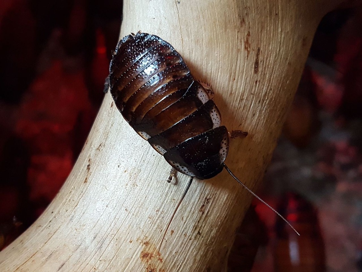 25b56636-649b-44e2-bea8-9252069aaa5f