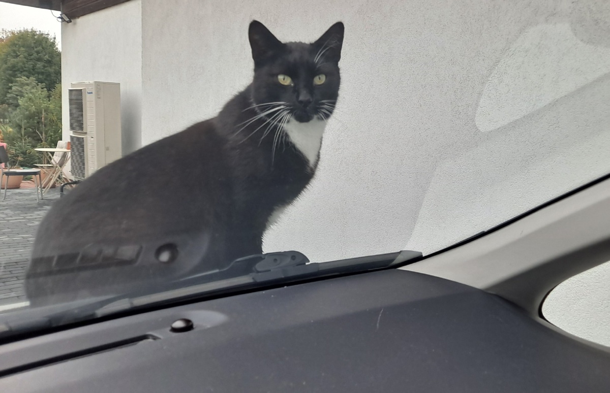 936b66d3-e7b4-4e46-8b11-265222b250c0