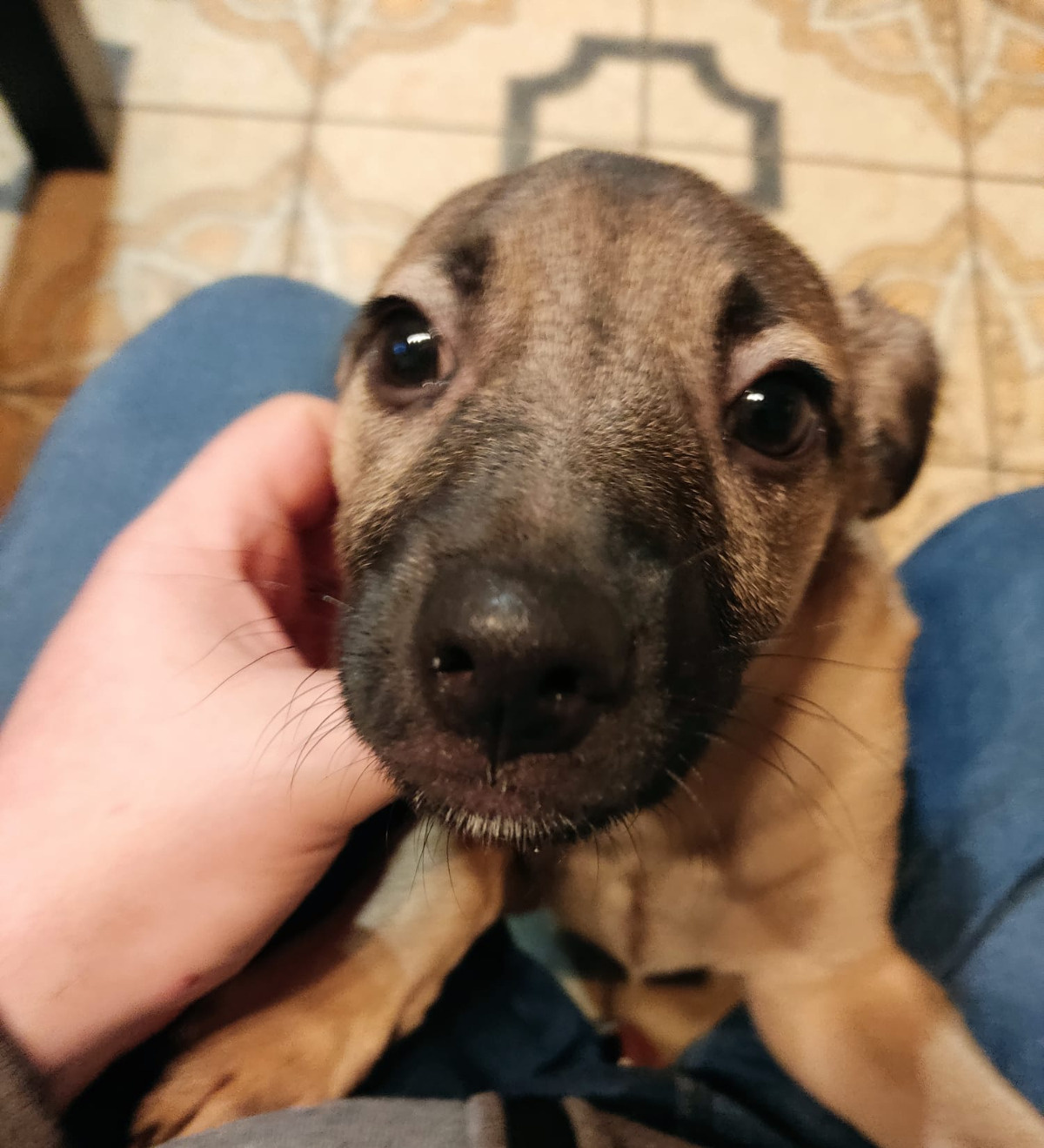 236ca4c9-7b9e-46f1-ba38-374bf8f26051