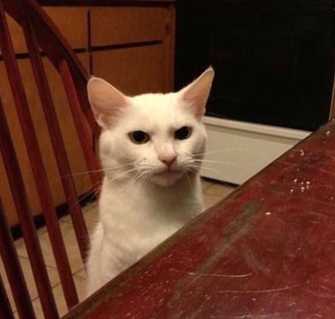 95658ce6-b24f-4920-bfd8-cad696c9c946