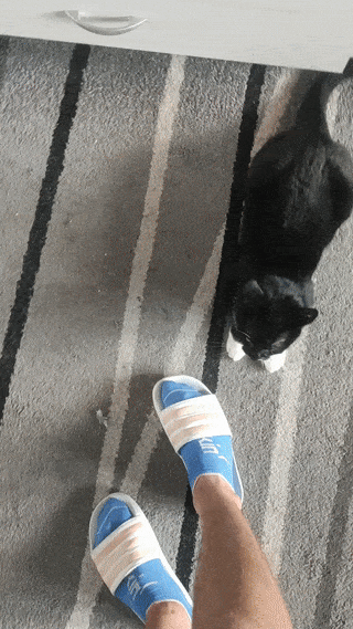 9ae2ed50-fbc9-4316-b769-c73398cdf67a