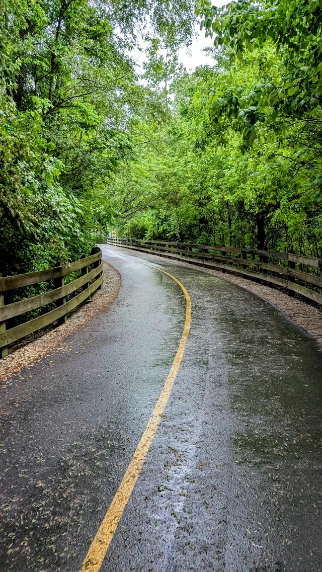 eb67f95e-a348-4920-8118-a9aa06d5208c