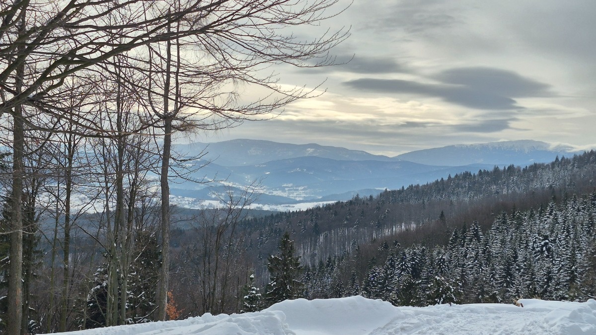 592c576c-ca70-47c2-9ba6-b1cf2c9e9a0c