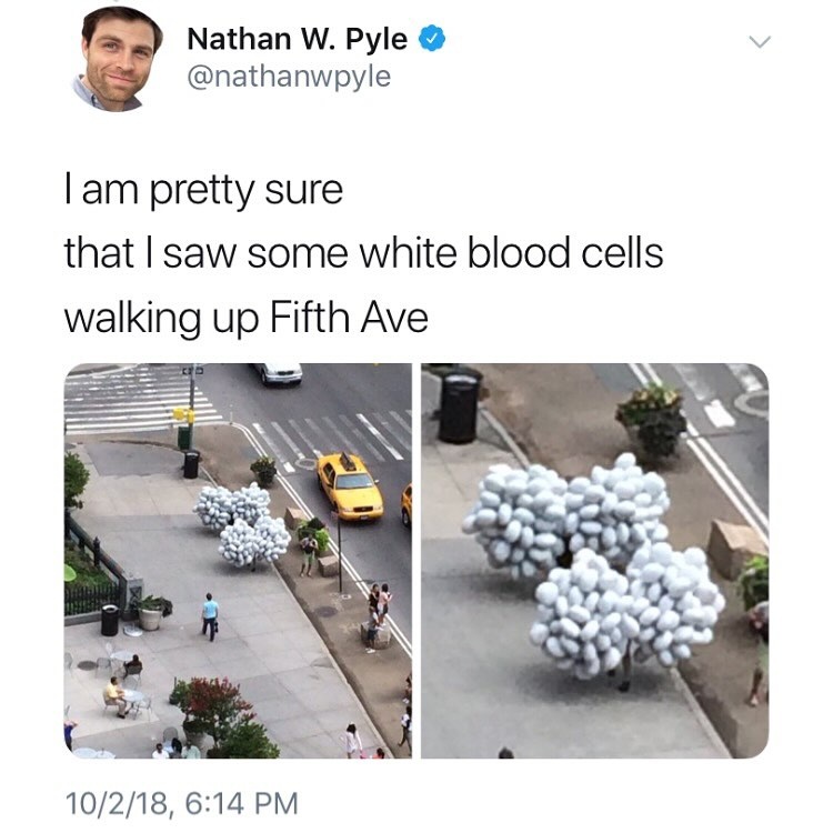 6d6331de-dd8c-47d2-b29c-d04db9a26ed3