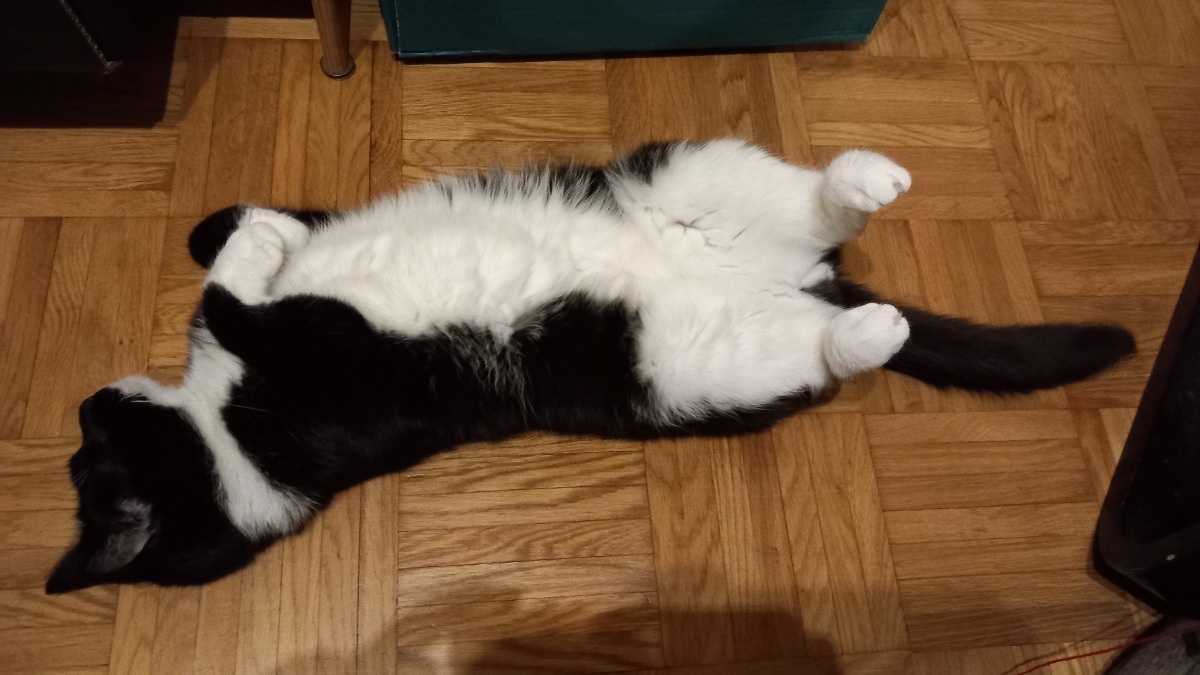 13443c67-ed5b-4f44-9327-fd4cef957bda