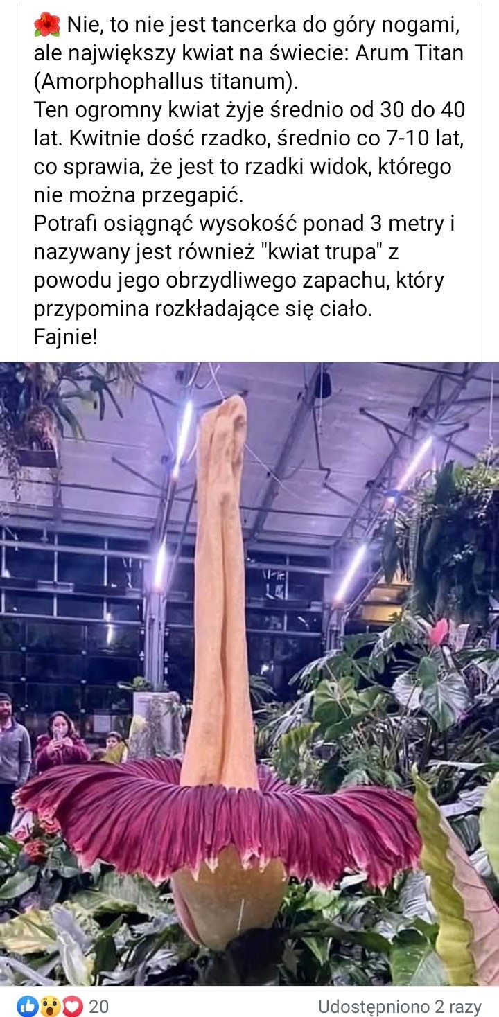 0c3f6368-0cb5-409a-914f-2f390bde3b64