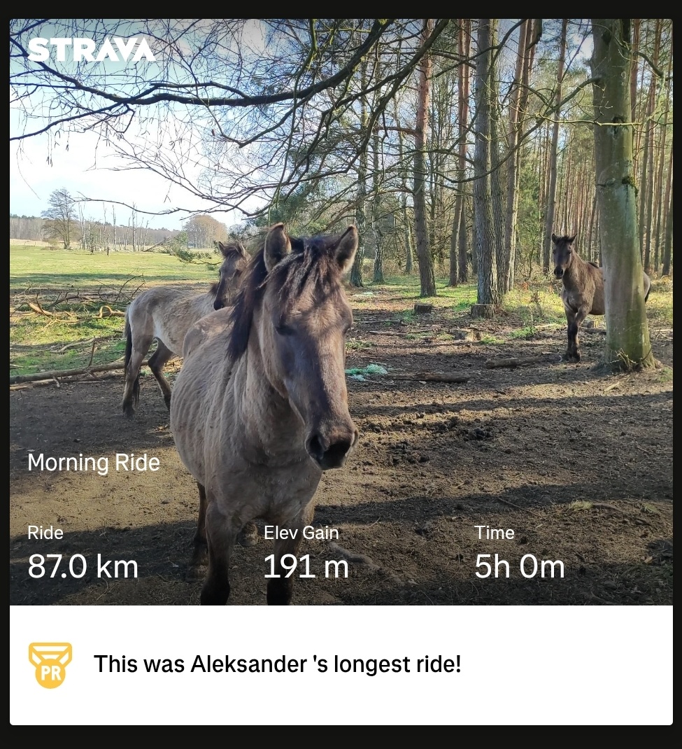 2b98dbb4-5b3e-47a9-9b35-e69f9ffa8556