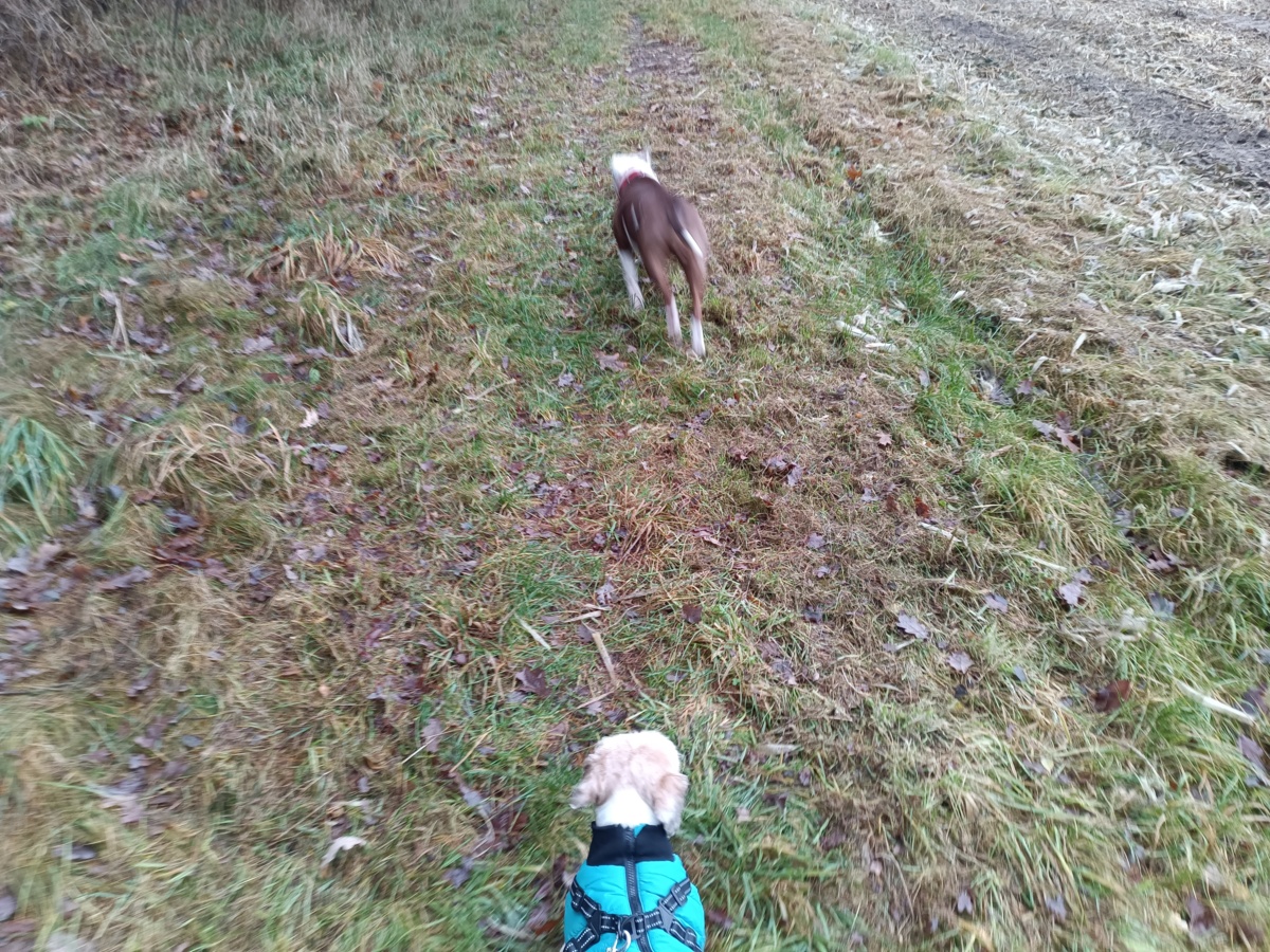 025ac7b6-5045-494f-ba64-7840d30b4415