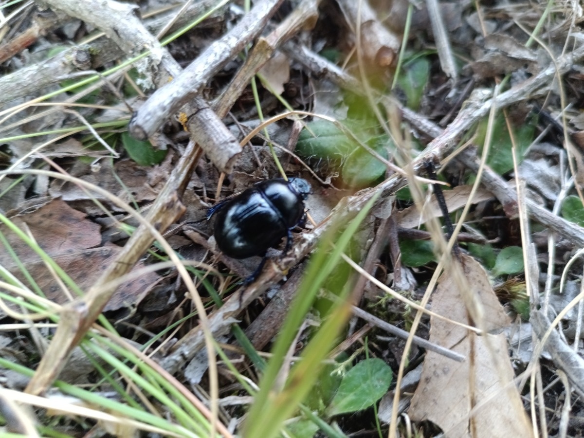 9ff945e4-6c93-41d9-9db8-580e316cfd65