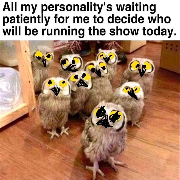 0bdb6316-f92b-46b5-be72-83ab04e844d3