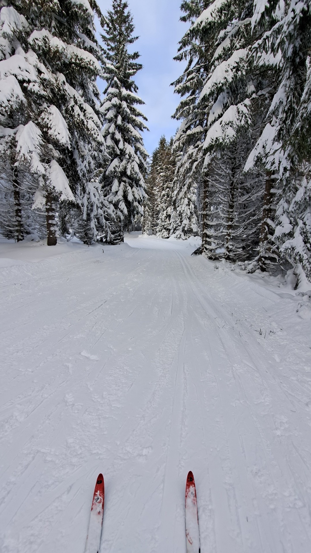 d77070c9-2fd7-4311-8876-455b0c4dd033