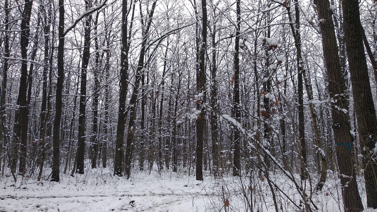 5bc817af-a8ed-41e1-9c8f-8718d3537a36