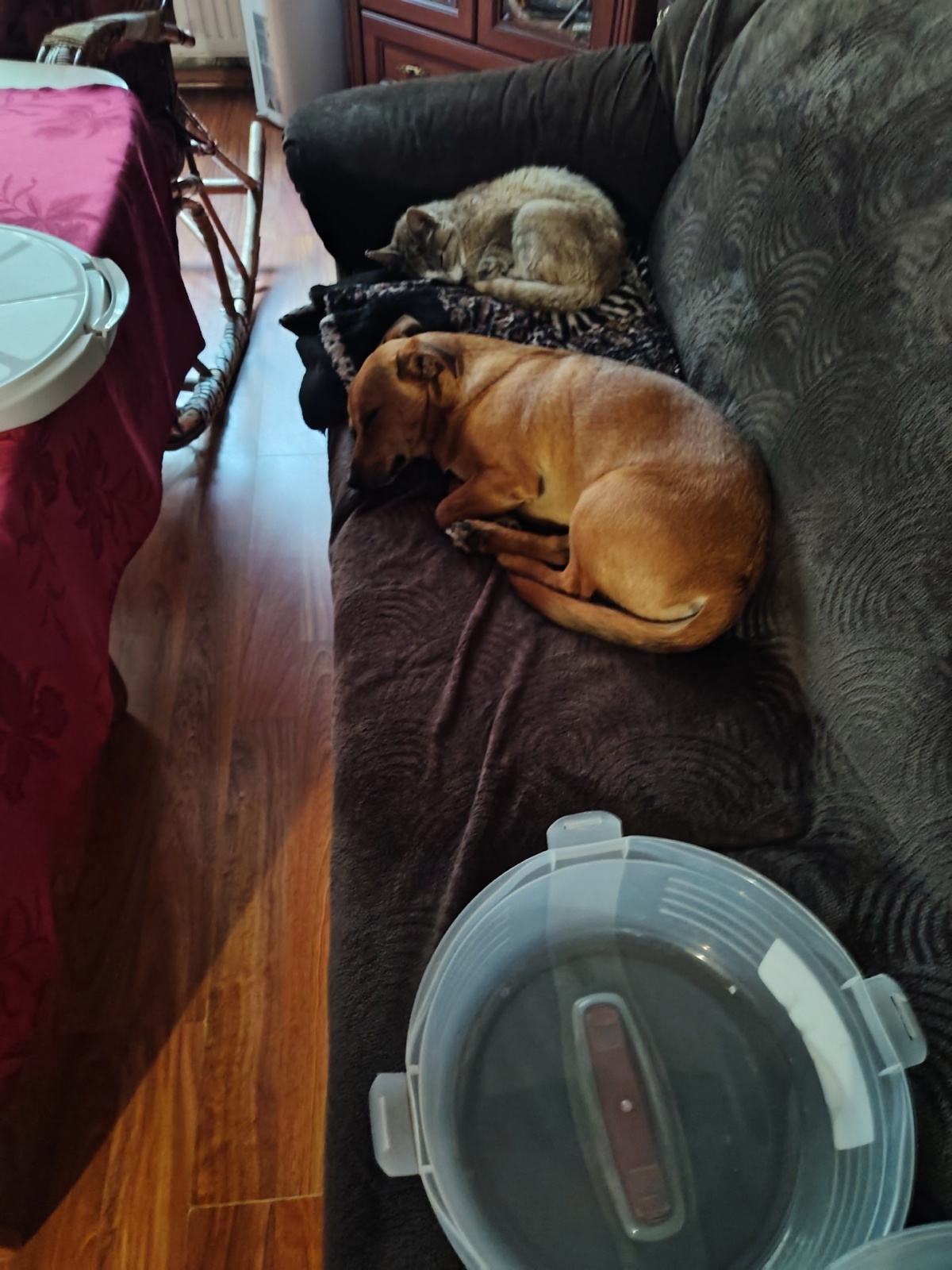 46543194-b805-4cc8-b28c-59a4a2672838