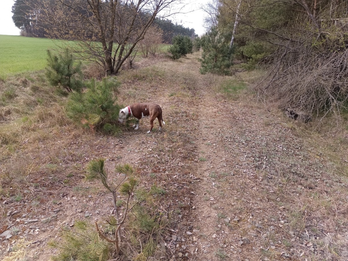 83b45c23-5969-4350-899c-80afd518851d