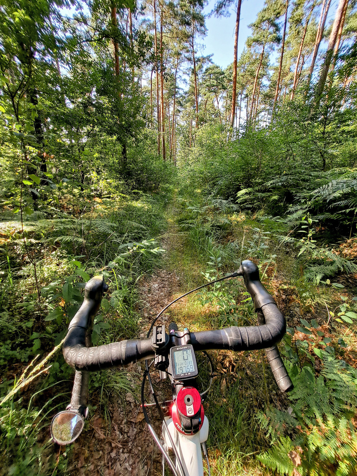 ba9f4985-3602-4fa4-a15f-b2e7ed76305c