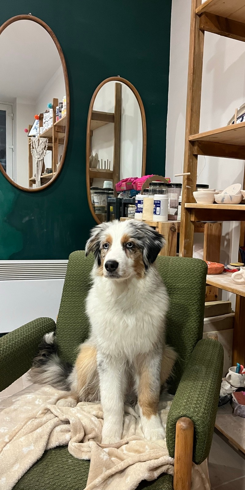 7cc83765-605b-4a61-9b6b-8db7f72565e8