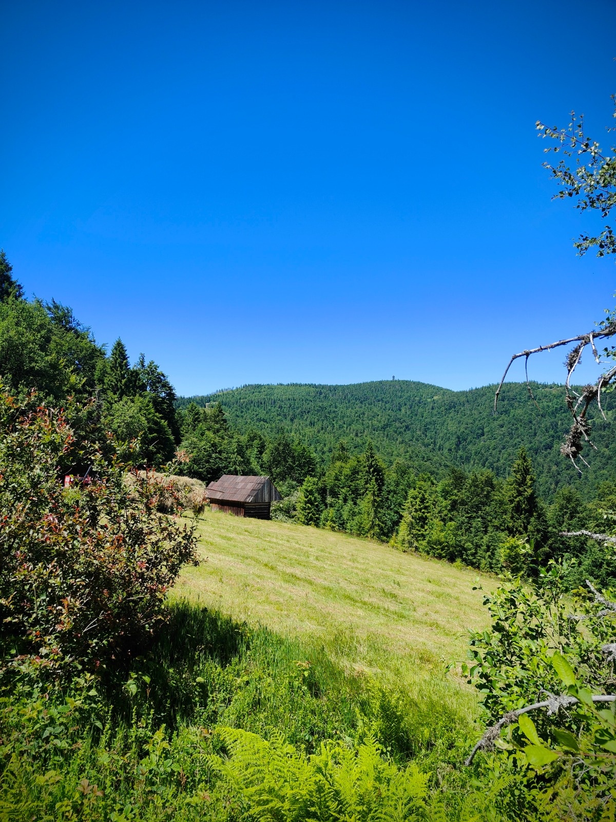 4253af42-cfc7-4fc9-ae84-6773f5470b68