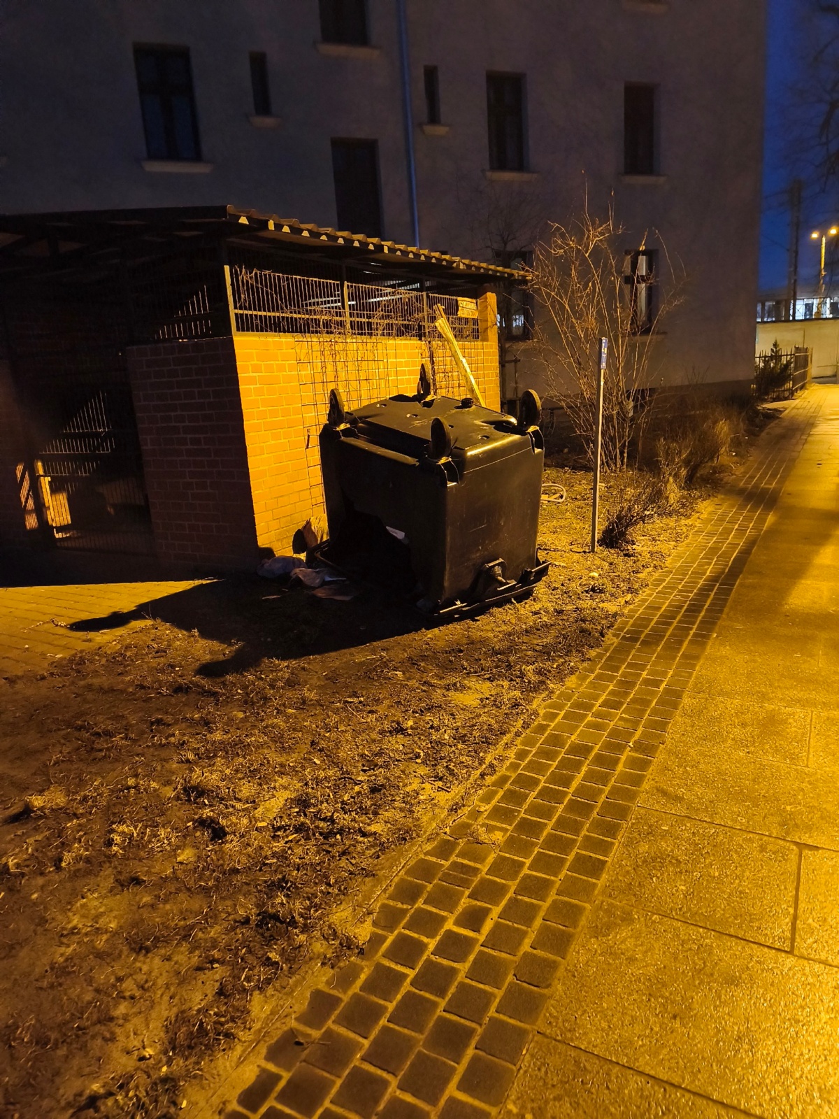 17848b0b-4bf1-4de9-ba81-87df233b2514