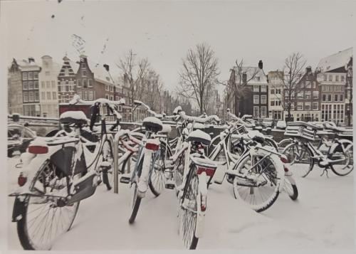 41985214-b99f-4426-b43e-77f6c091c456