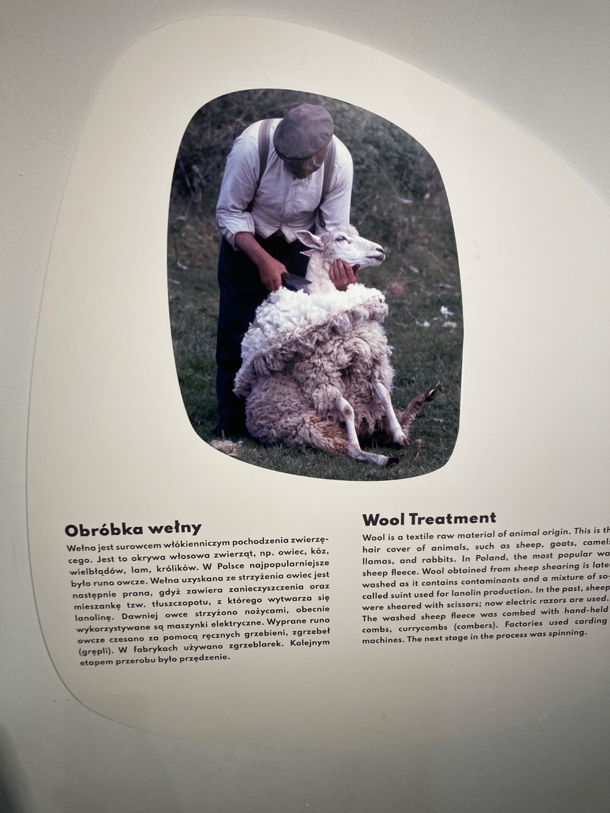 f1ec497d-b7a4-483f-aec7-4a1e8fb39b49