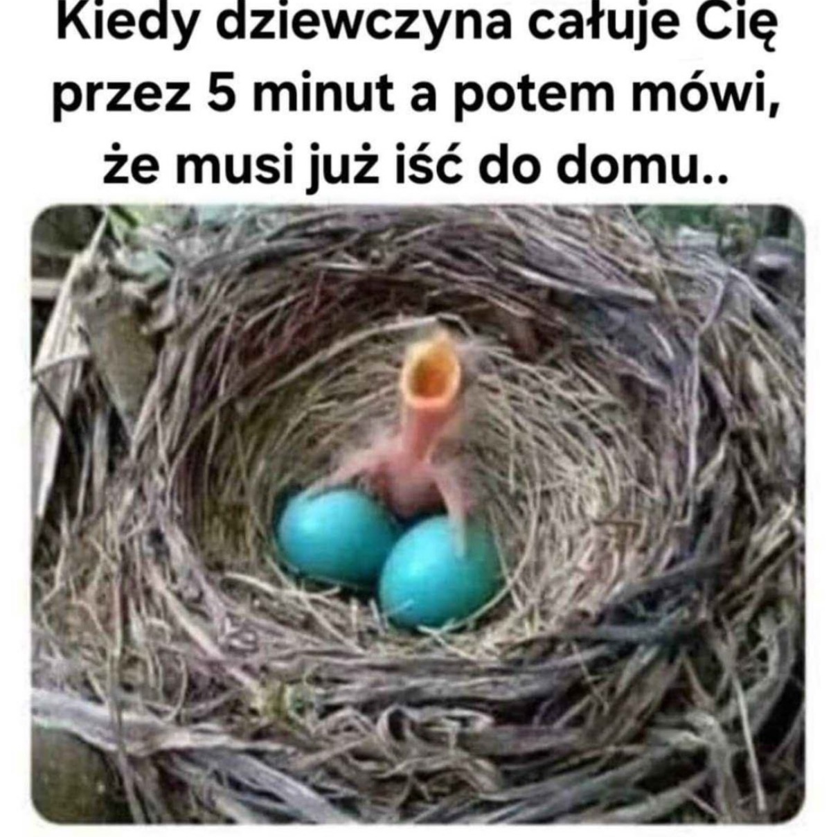 e79148c2-9792-446d-8a45-e6e9949225fc