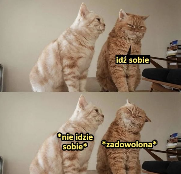 dcfc20c0-8caf-47a0-9c96-5efcea1f34e6