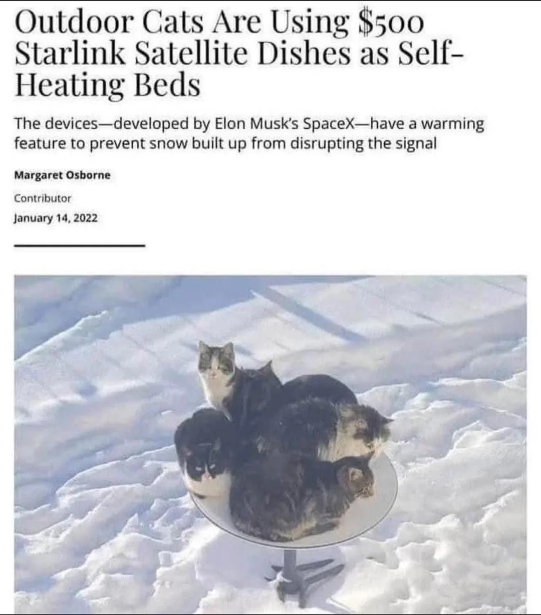 221bd015-5a75-4436-ac79-e943c1079f89