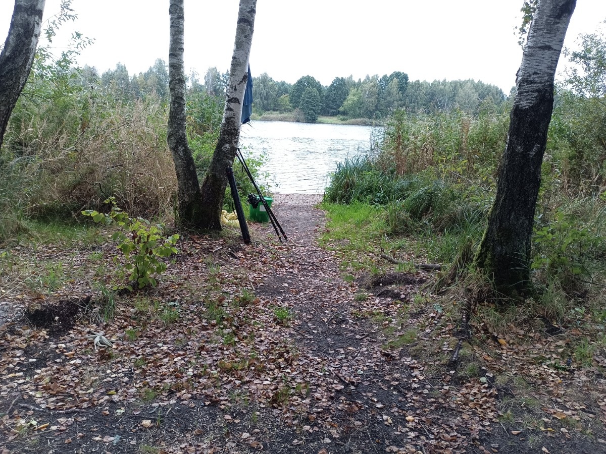 d045baa7-6975-4ff1-9ccb-90588bf34117