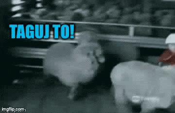 5b3b9e03-0997-4e01-9fb5-36dec1fe5e76