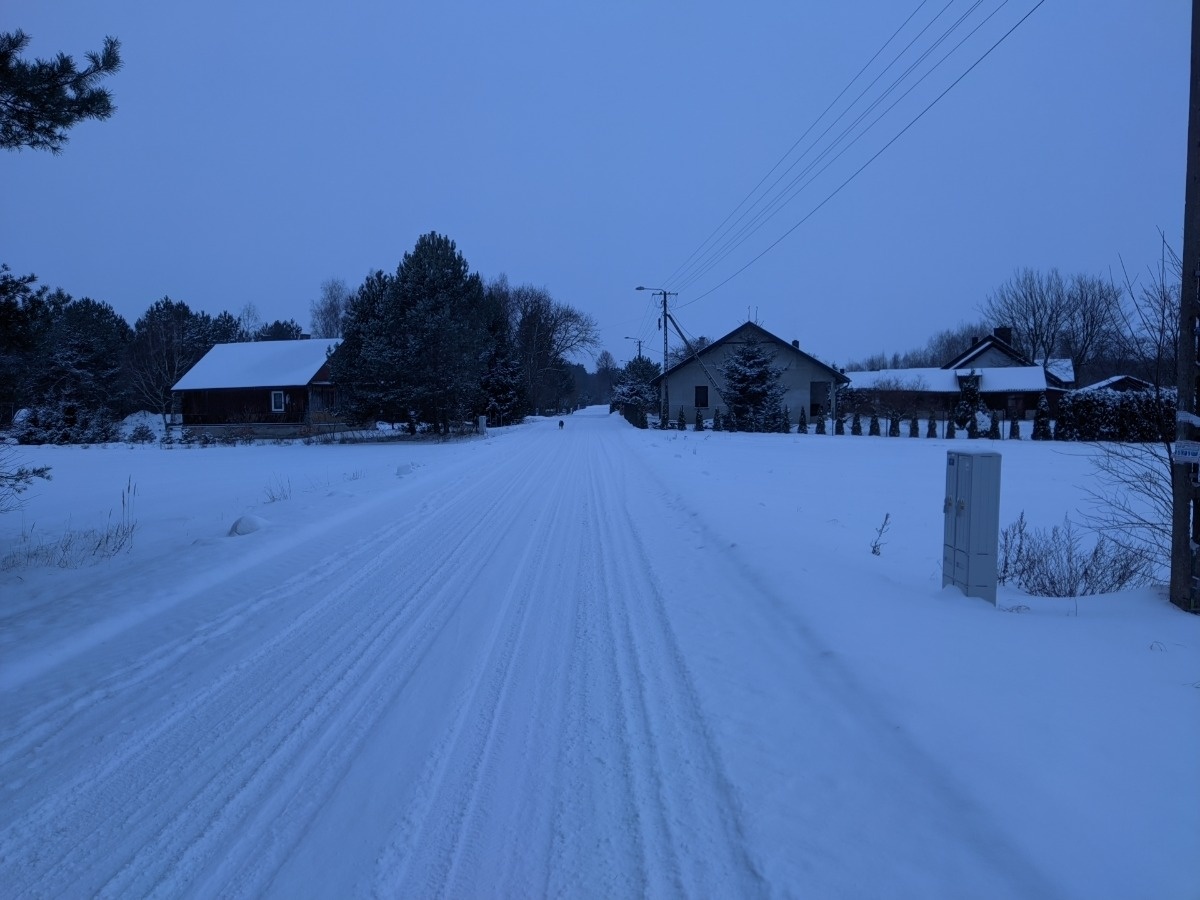 541dd2f1-2965-4480-8184-d997131ae52b