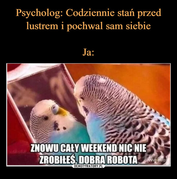 c43ab8d1-1aec-48fd-99c2-ae085272acda