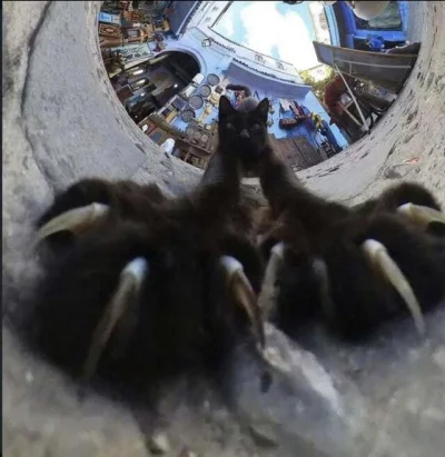 f8994e80-2531-43c4-b7a5-97d87ef28774