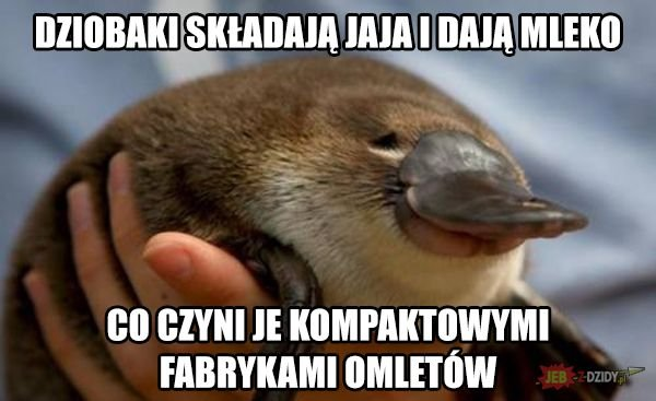 4a6ee052-1b4e-4164-92e4-5b4006d45394