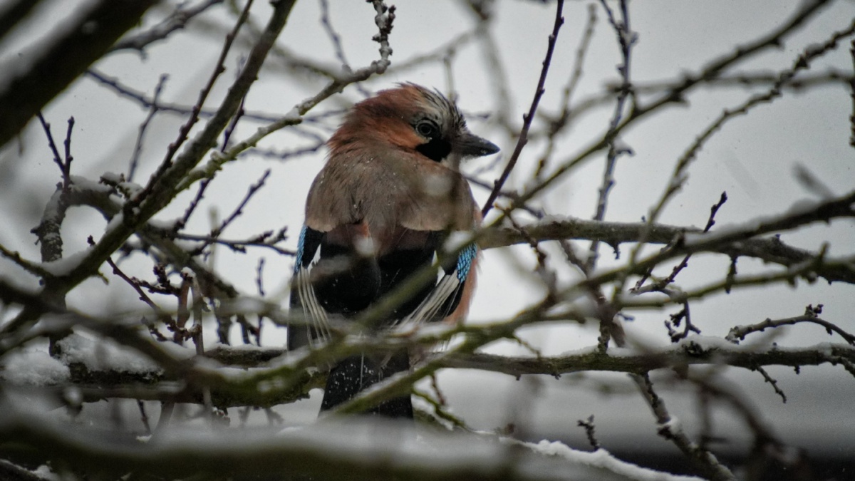 3ea608d4-9c44-4f4b-b769-92dbc6f378e4