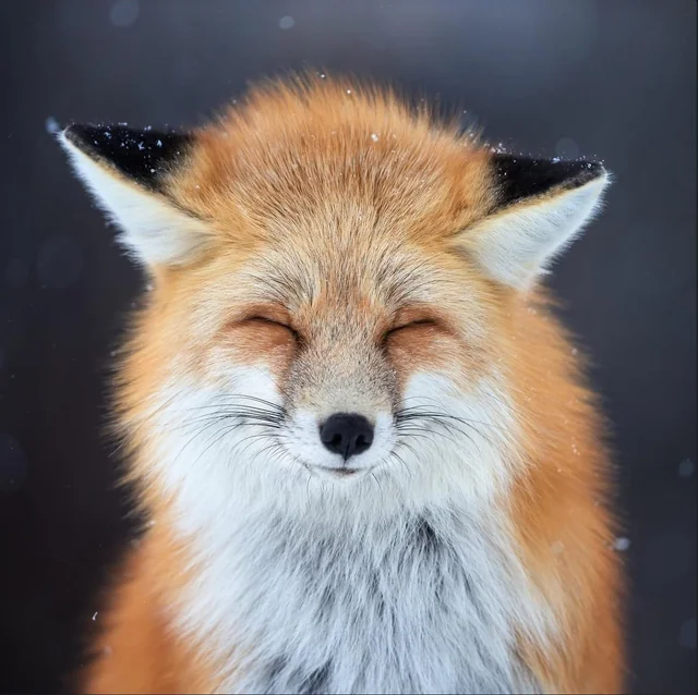 76bc5167-8016-4ff5-9b10-eb4eebdb62ec