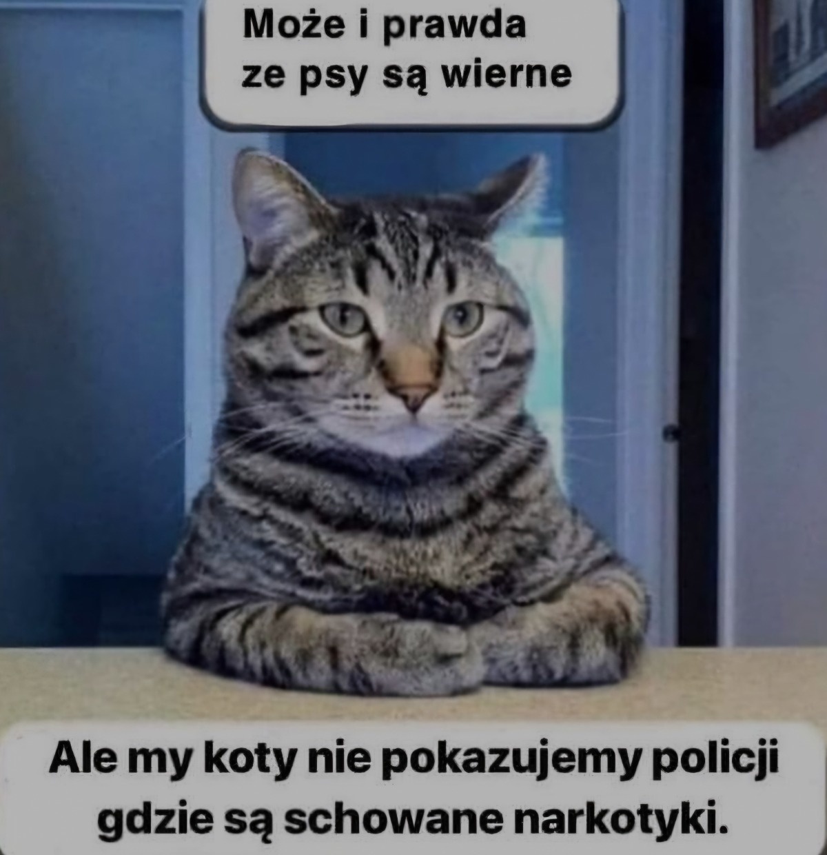 c8e8f7e0-d191-4d36-bfd3-e9dade2d2770