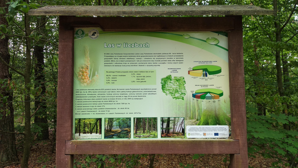 5216d378-cd6c-43ad-b8f1-a5153ea82842