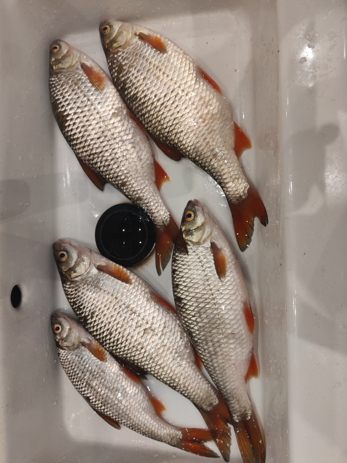 b16df0c6-467d-46db-999f-89ba63713e2a