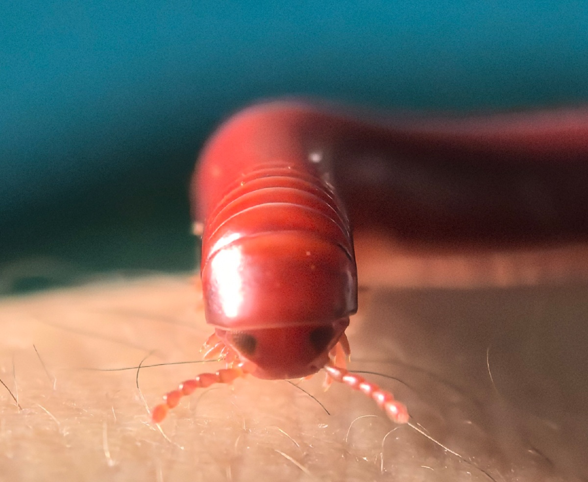 b6628ea6-10c8-4ed0-bb42-07cbd5f0305e