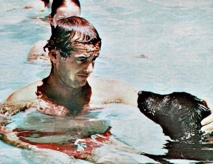 58b77067-6a9f-4bc0-934a-68fdd59fc754