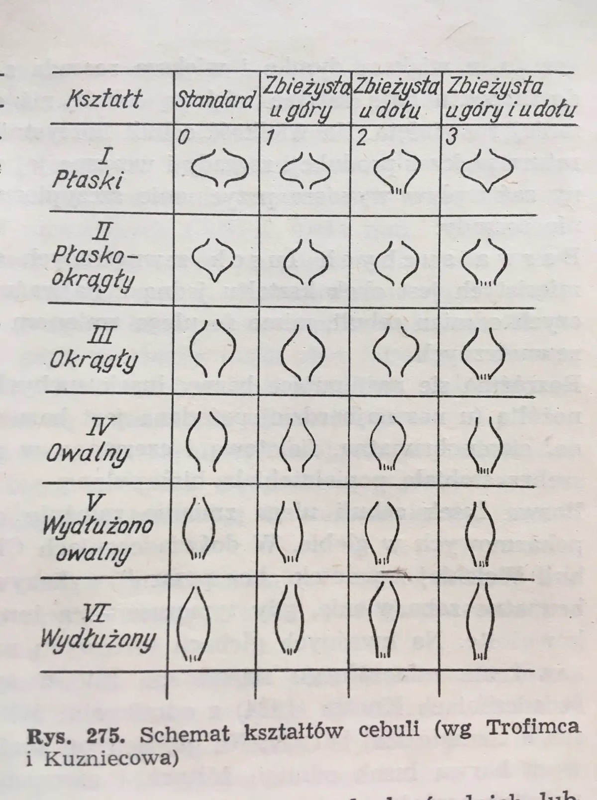 46cf8a93-cf49-44ad-910f-b9a10e91305a