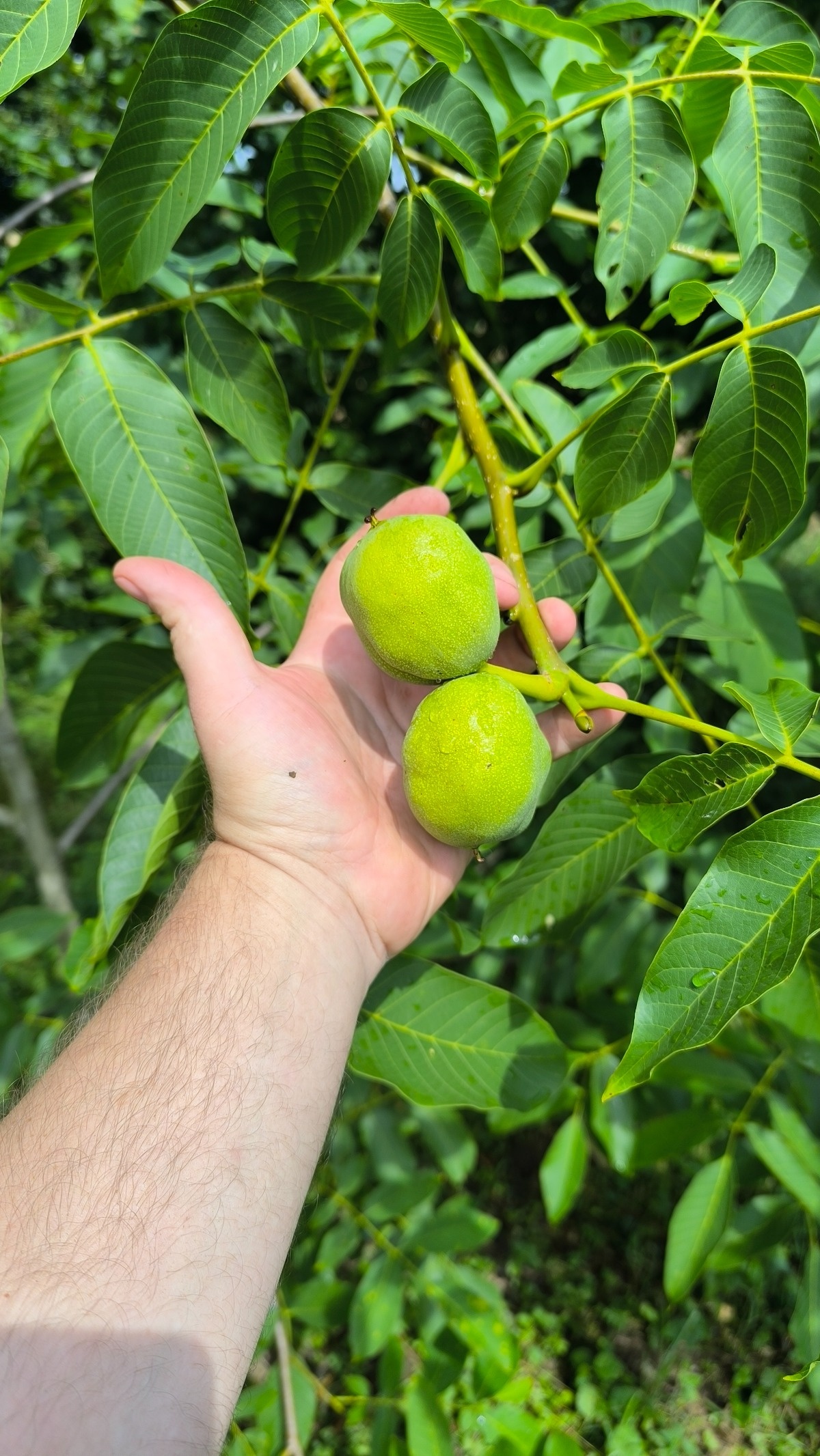 c6ea5bf6-2835-41c8-b0e0-be8d8114d87e