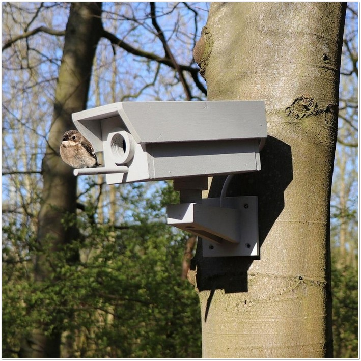 c73c72be-d8da-4280-8ac2-497d68aefda9