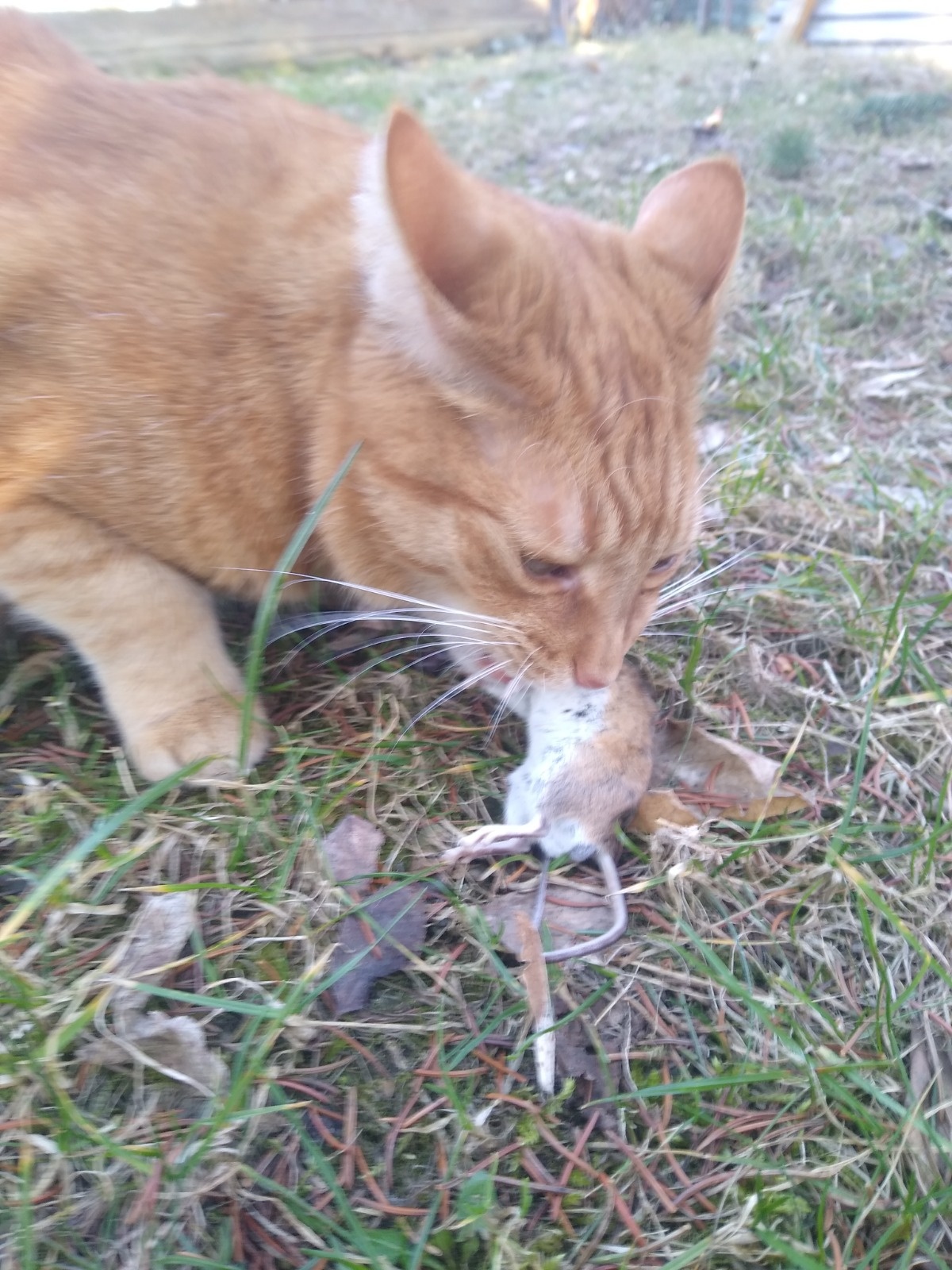 1d5d973c-8360-492d-8d55-1691e36e366e